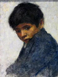 Le pelusa